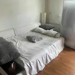 Shared Flat