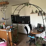 Shared Flat