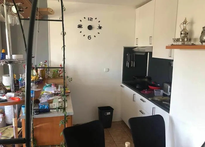 Shared Flat